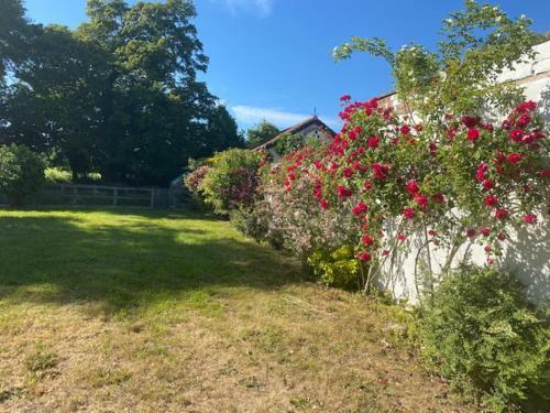 Apartamento Old Rectory - Scoulton