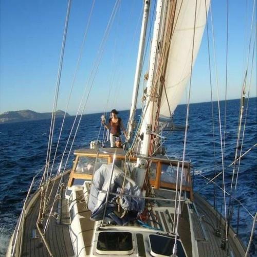 Contest 48 Sailboat