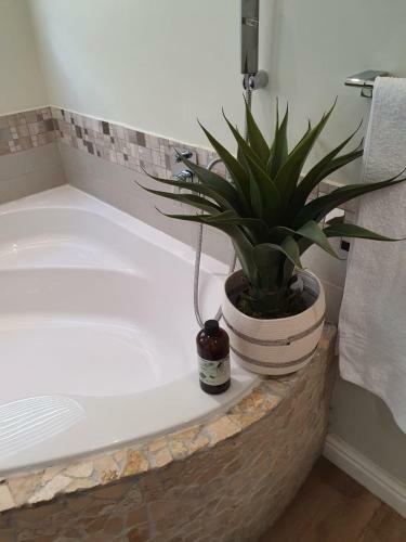 Paradise Beach Apartments Langebaan 4 Elara