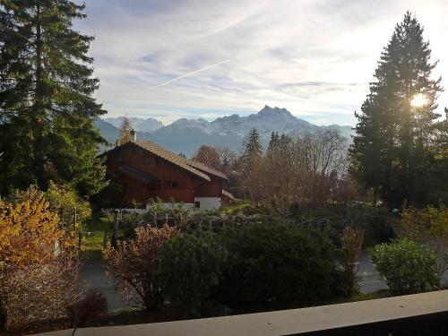 Apartment Le Mont Blanc II Chesieres