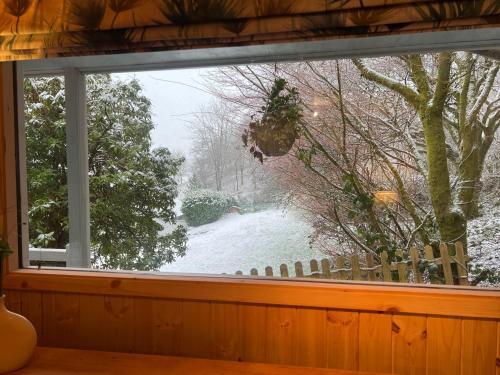 Treeside Woodhouse Free Breakfast Options