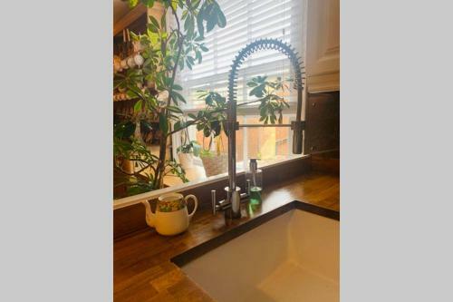 Stunning 18th Century 5 Bed House Old-town Hastings