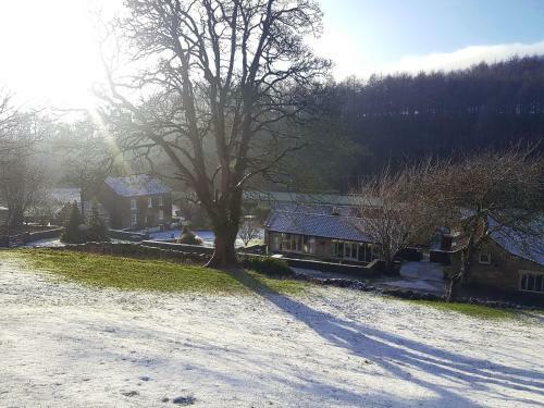 Rievaulx
