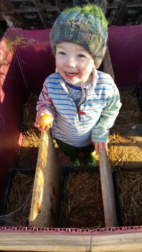 Lodge Wendron Plant Nursery Lettings