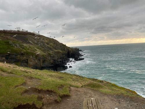On The Beautiful Lizard Heritage Coast