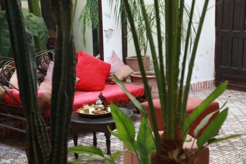 Riad Dar Tayib