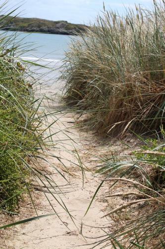Bed & Breakfast Coastal Pods