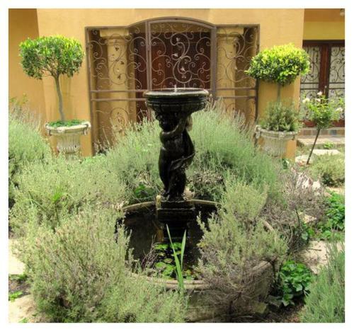 Apartamento The Lemon Tree Self- Catering
