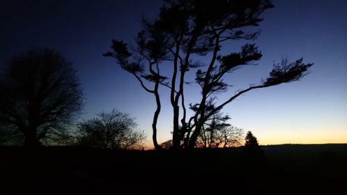 Natland Caravan Park