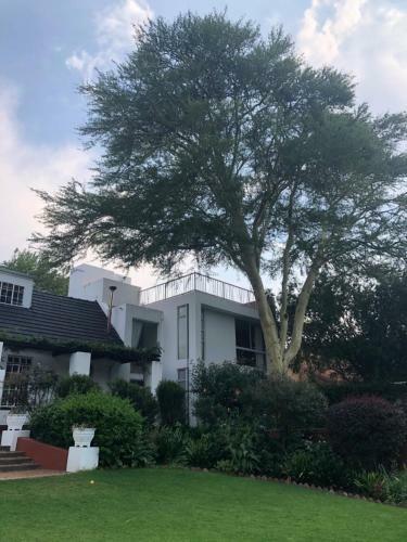 Fever Tree Suites