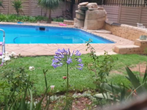 Abby Rose Guesthouse