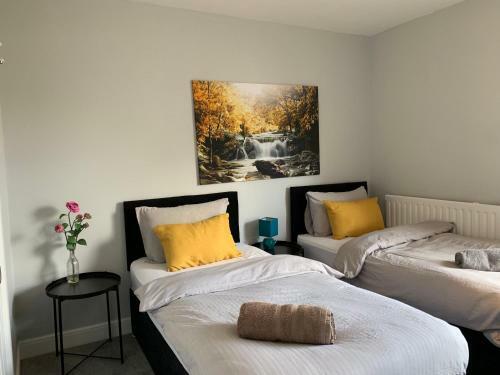 Buccleuch Apartment
