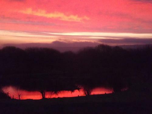 Marsh Water Ponds Fishery