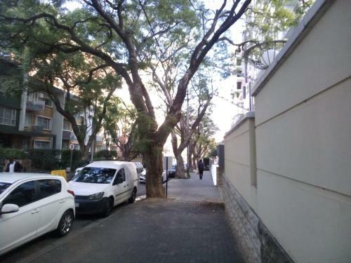 Accommodation Rose Johannesburg