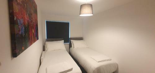Garland Apartment, Greenhithe 5 - Netflix & Music
