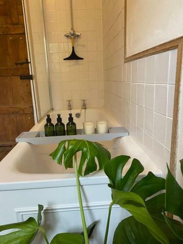 Kingpost - 3 Bedroom Apartment In Sandwich