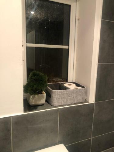 Apartamento Summerville