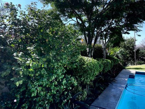 Sandton Villa Experience