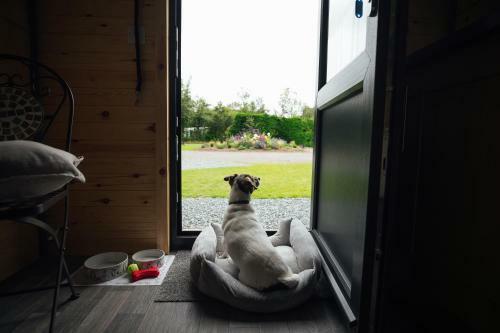 Buttles Shepherd's Hut