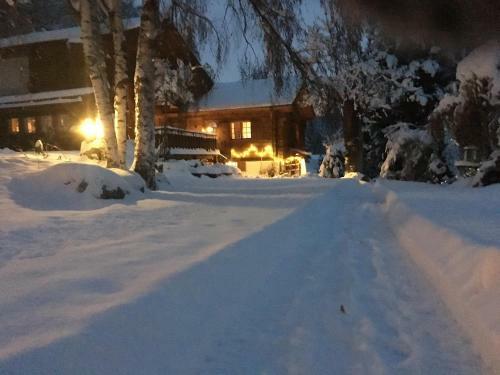 Chalet Les Rindes