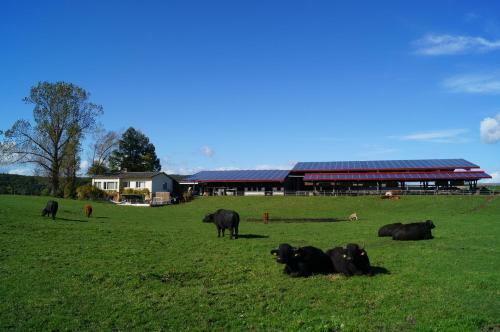 Agroturismo Bolderhof