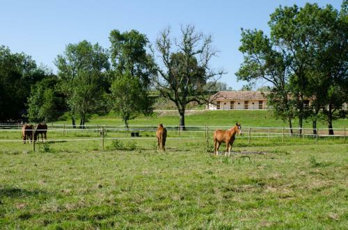 Bed & Breakfast Ch�teau Beau-site