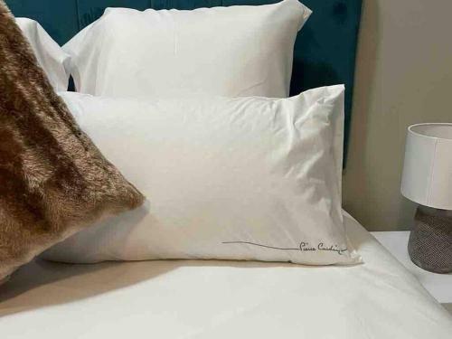 Beautiful 1 Bedroom Apartment