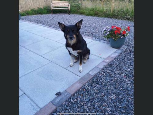 4 Bedroom House Near Loch Ness