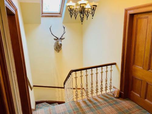 Villa Ladies Lodge Inverness