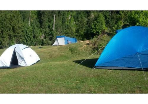 Deepforest Camps With Lake View