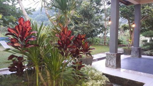 G-rima Home Stay