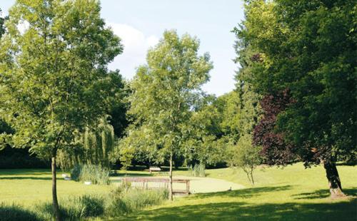 Hotel Logis Le Tulipier