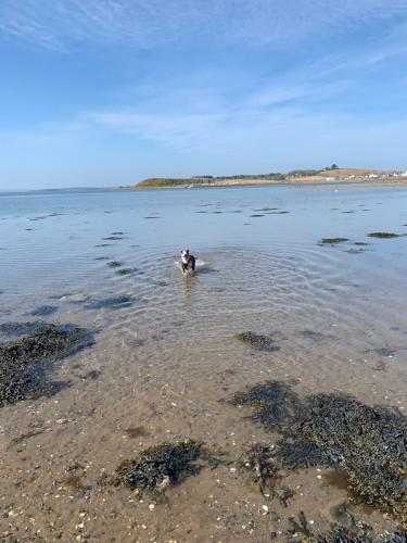 The Nest - A Sanctuary On Strangford Lough