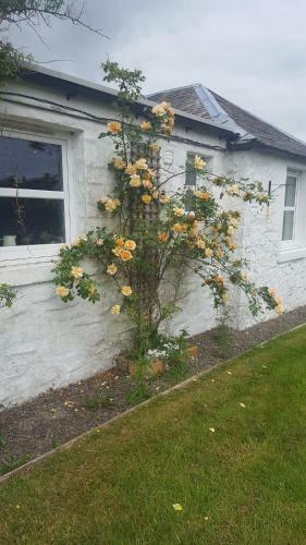 Barcloy Honey House