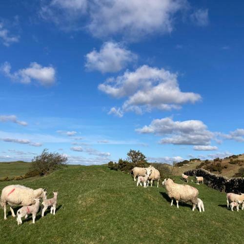 The Steading At Castle Creavie Farm