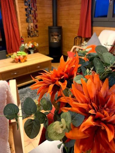 Long Wood Lodges