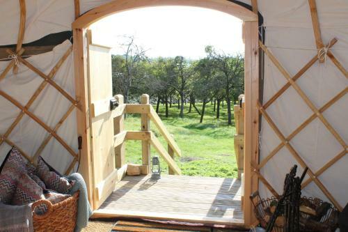 Blossom Orchard - Luxury Yurts