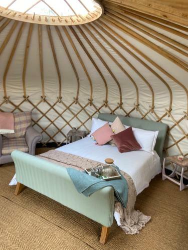 Blossom Orchard - Luxury Yurts
