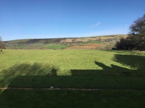 Yards Brake On 40 Acres Of Private Land