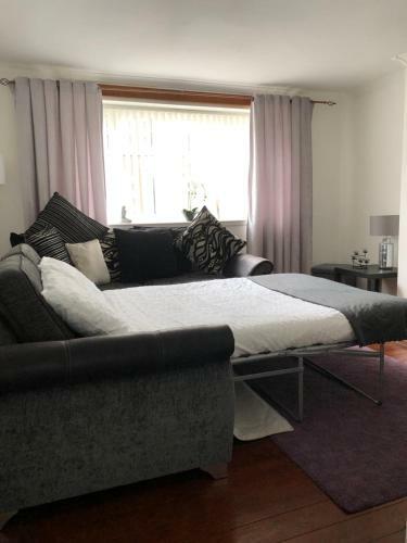 Ace Largs Ground Floor Apartment With Garden