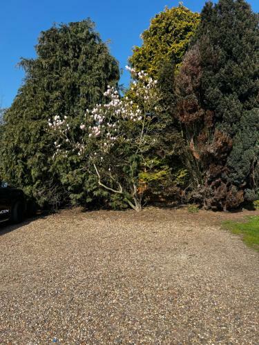 Dedham Lodge