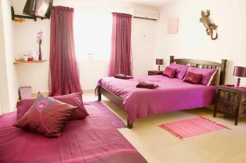 Bed & Breakfast Cap Ou Pas Cap Guesthouse