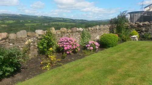 Bed & Breakfast Plas Newydd Farm