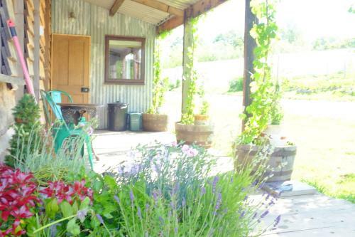 Ceridwen Glamping, Double Decker Bus And Yurts