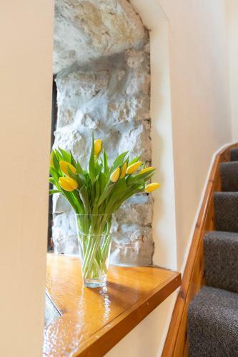 Yr Wyddfa Cottage Anglesey