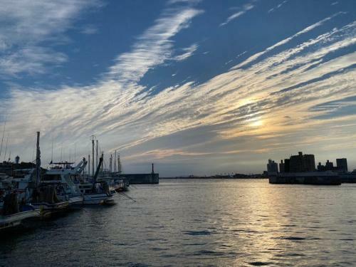 Trawl