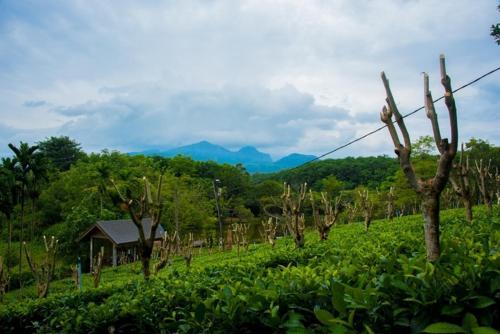 Lake Serenity Boutique Hotel