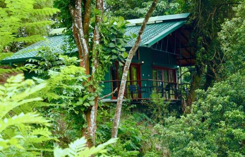 Paradise Garden Resort