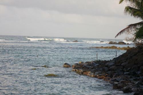 Albergue Tropi Turtle Guesthouse