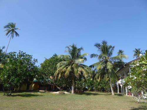 Bed & Breakfast Raja Beach Hotel